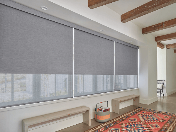 gallery-roller-shades-pic-6